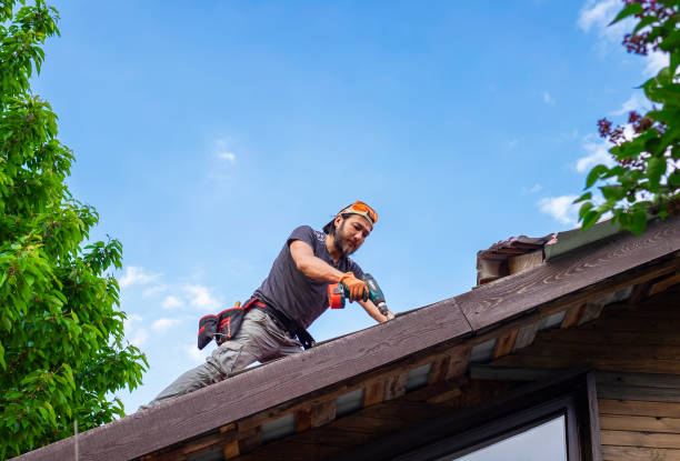 Best Roof Moss and Algae Removal  in South Wallins, KY